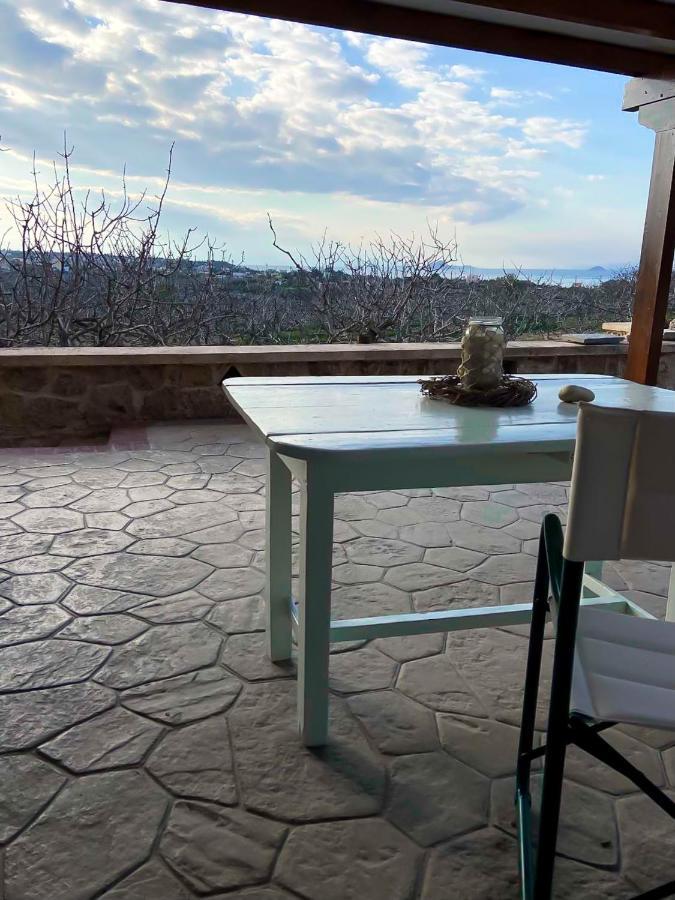 Pistachio Guesthouse, Παραδοσιακός Ξενώνας Vathí Exteriér fotografie