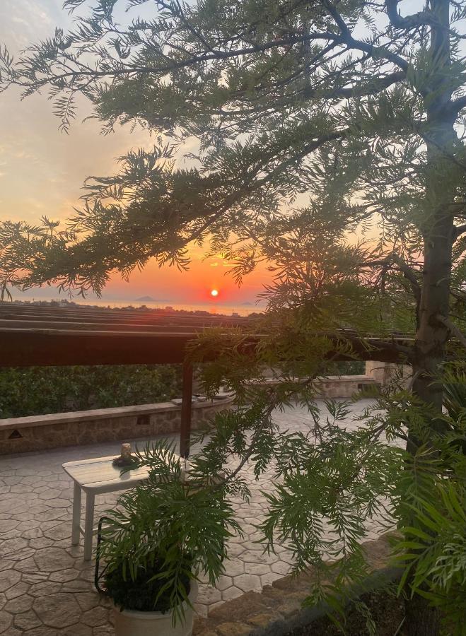 Pistachio Guesthouse, Παραδοσιακός Ξενώνας Vathí Exteriér fotografie